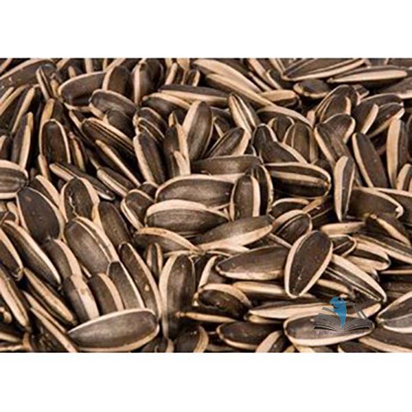 Laboratory Grade Seeds, Sunflower - 250g