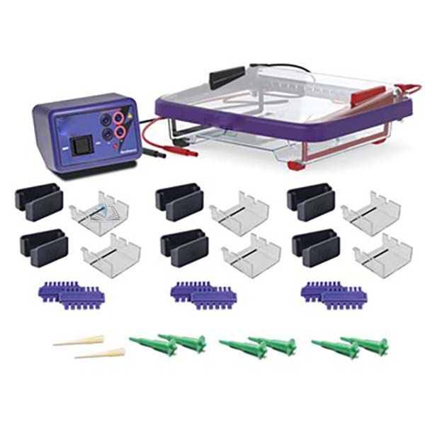 DNA Electrophoresis Equipment - Classroom Kit