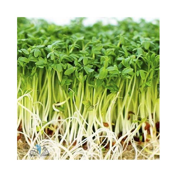 Cress Seeds