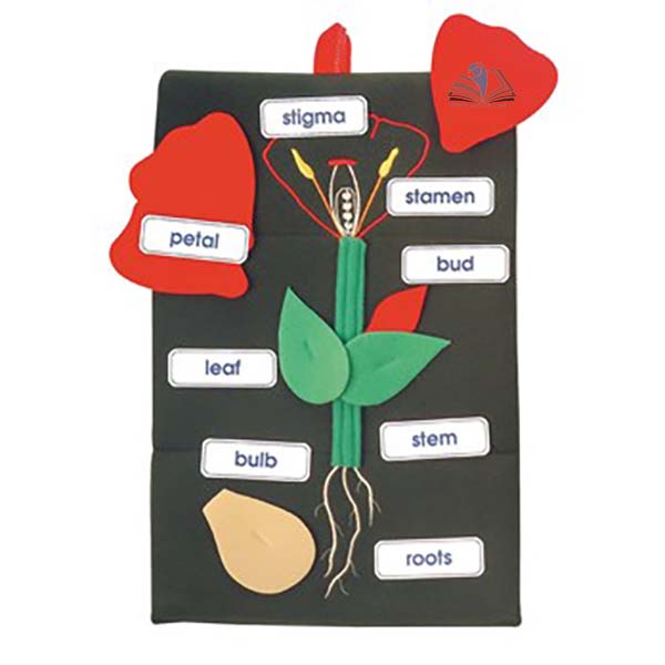 Plant In A Pocket - Wall Hanging