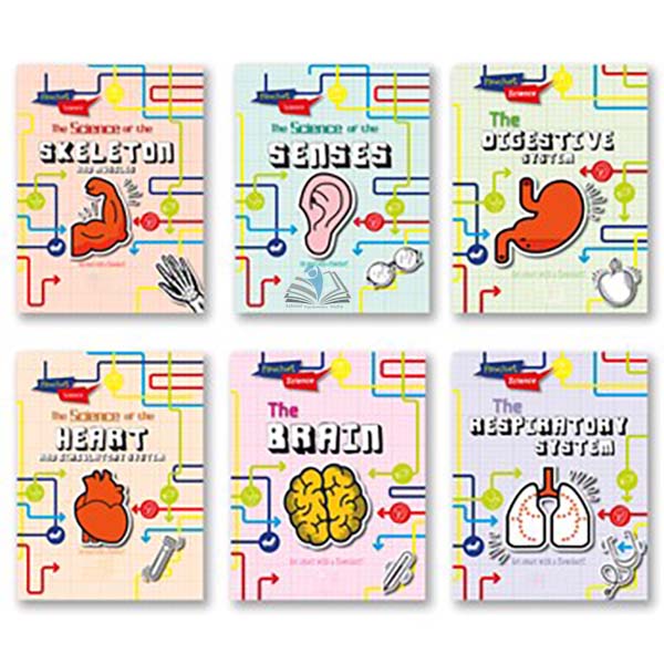 Flowchart Science The Human Body