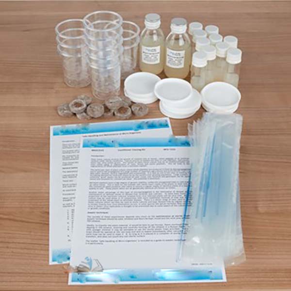 Cauliflower Cloning Kit