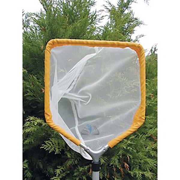 Lightweight Pond Net