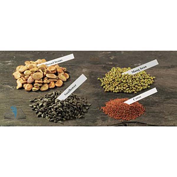 Bumper Seeds Pack