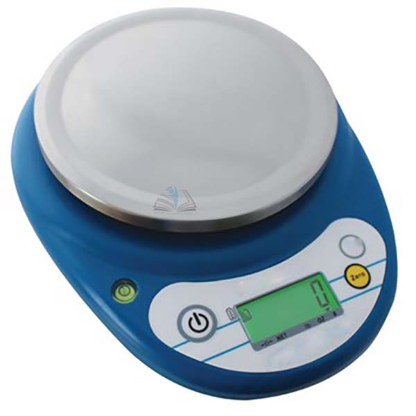 Compact Balance - 1000g x 0.1g