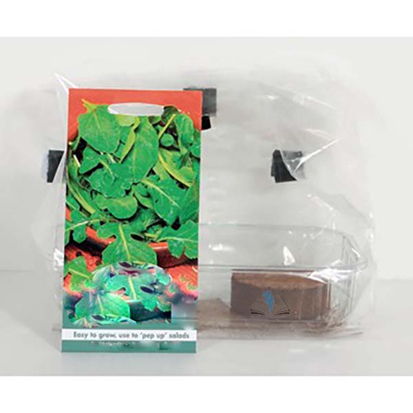GroBox Class Pack