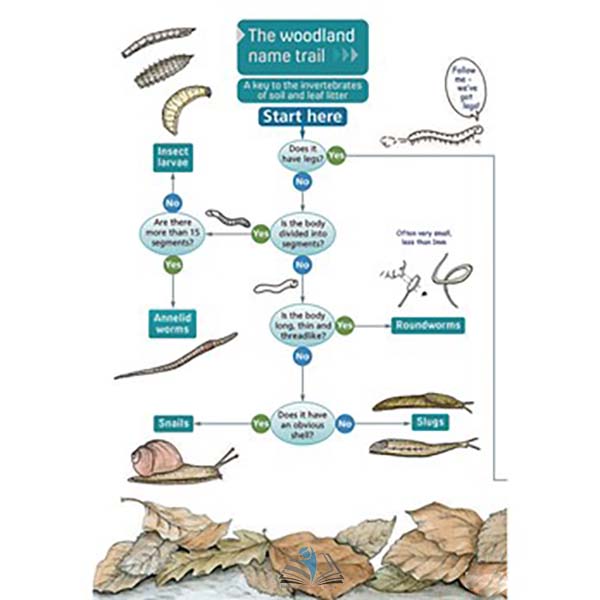 The woodland Name Trail