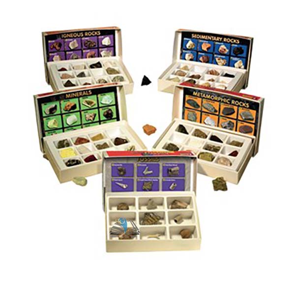 Fossils Collection