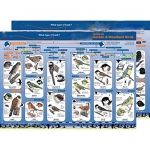 Identification Guide Common British Garden &amp; Woodland Birds