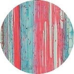 Prepared Microscope Slide - Sunflower (Helianthus) Young Primary Stem T.S.